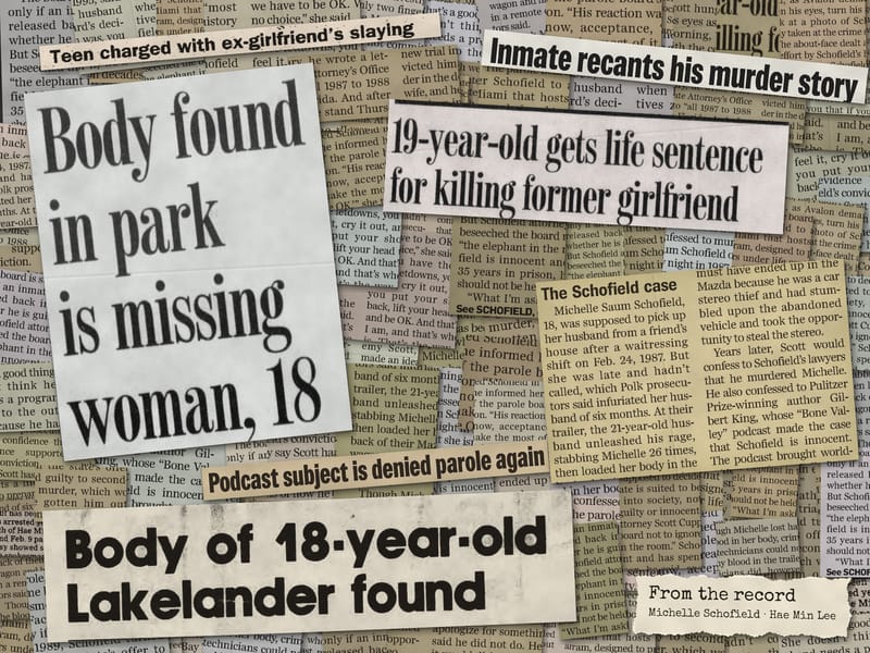 Newspaper clippings from the record: Michelle Schofield, Hae Min Lee