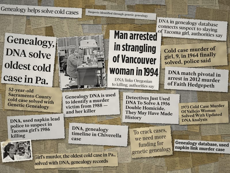Newspaper clippings from the record: University of Idaho murders, Faith Hedgepeth, Audrey Hoellein